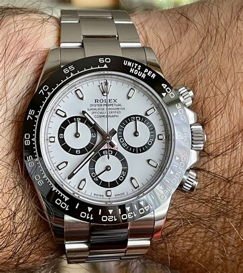 rolex panda white